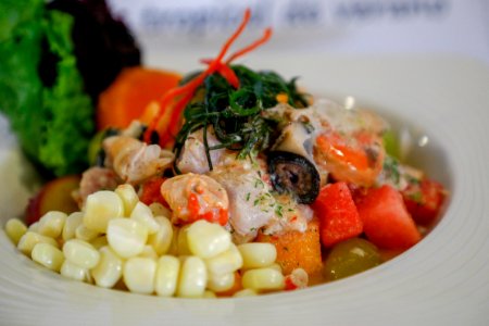 Lima Platos con bonito, anchoveta y caballa triunfan en Concurso “Come Pescado con Todo” (30556652677)