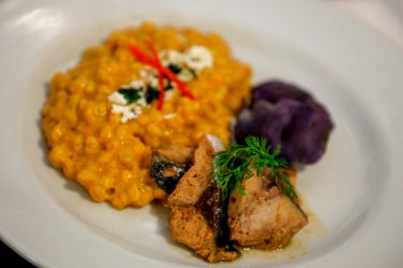 Lima Platos con bonito, anchoveta y caballa triunfan en Concurso “Come Pescado con Todo” (45445637812)