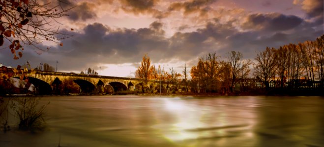 Loire paresseuse (32319928908)