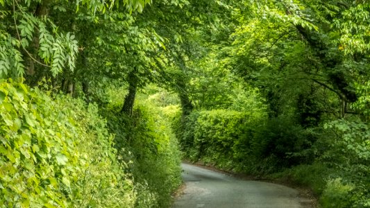 Llanarmon-yn-lal, N Wales, UK, 2021. (51263055494)