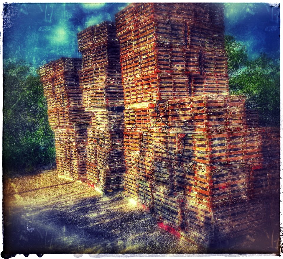 Lobster traps (31607282542)