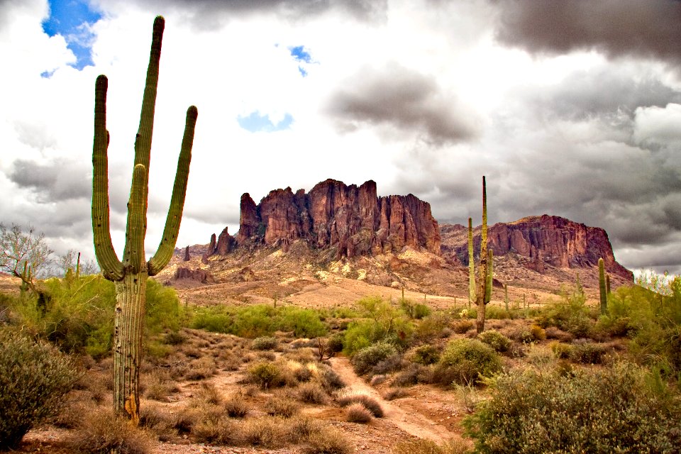 Lost Dutchman Peaks and Saguaro (25540187208)