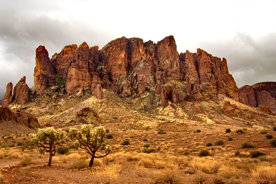 Lost Dutchman View with Cactus (39380251722)