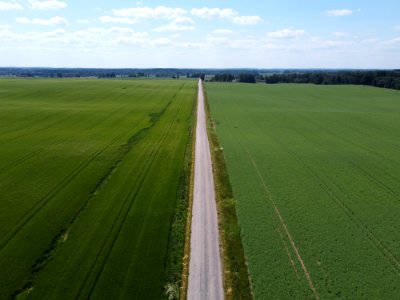 Maantee (50042813843)