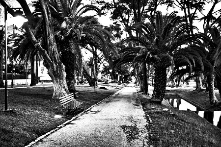 Made for b&w (51616545025)