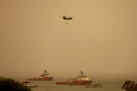Mallacoota fires (49341504136)