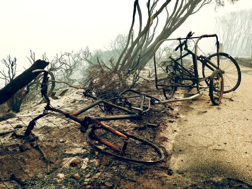Mallacoota fires (49341506106)