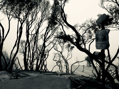 Mallacoota fires (49341506481)
