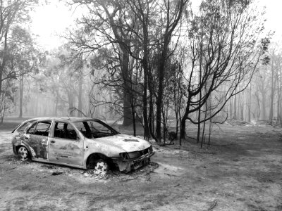 Mallacoota fires (49341729912) photo