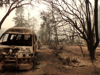 Mallacoota fires (49341859992)