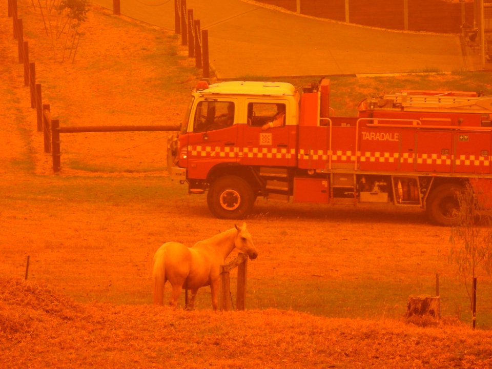 Mallacoota fires - CFA patrolling (49341729717)
