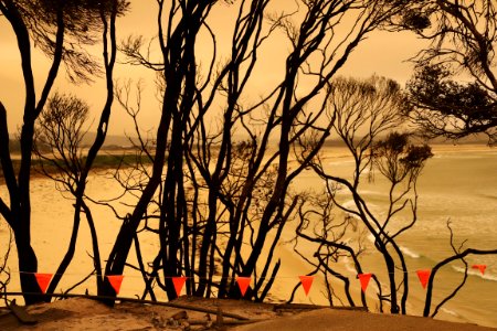 Mallacoota fires - Bastion Point (49341053933)