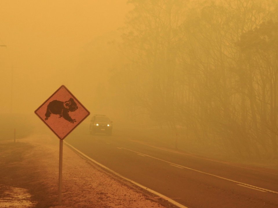 Mallacoota fires (49341730977)