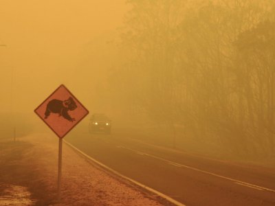 Mallacoota fires (49341730977)