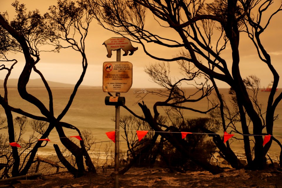 Mallacoota fires - Bastion Point (49341505391)