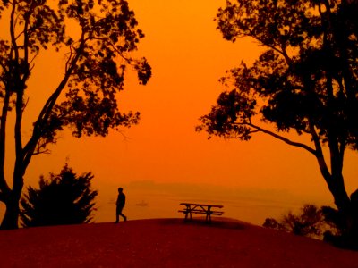 Mallacoota fires - the build up (49341149303)