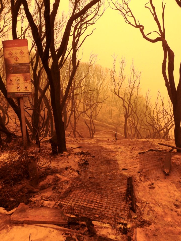 Mallacoota fires (49341506346)