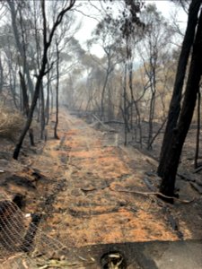 Mallacoota fires (49347150432)