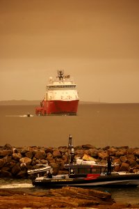 Mallacoota fires - post fires relief effort (49341053788)