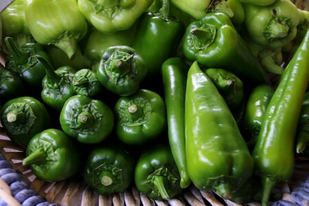 Food harvest vegetable garden