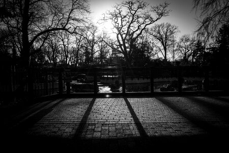 Fence cobblestone shadows photo