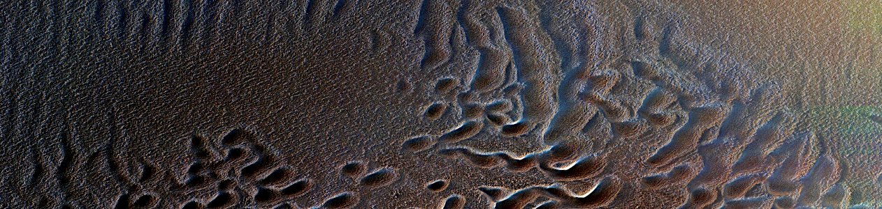 Mars - Teardrop Defrosting Features (51167311963) photo