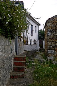 Masaveu (15156710340)
