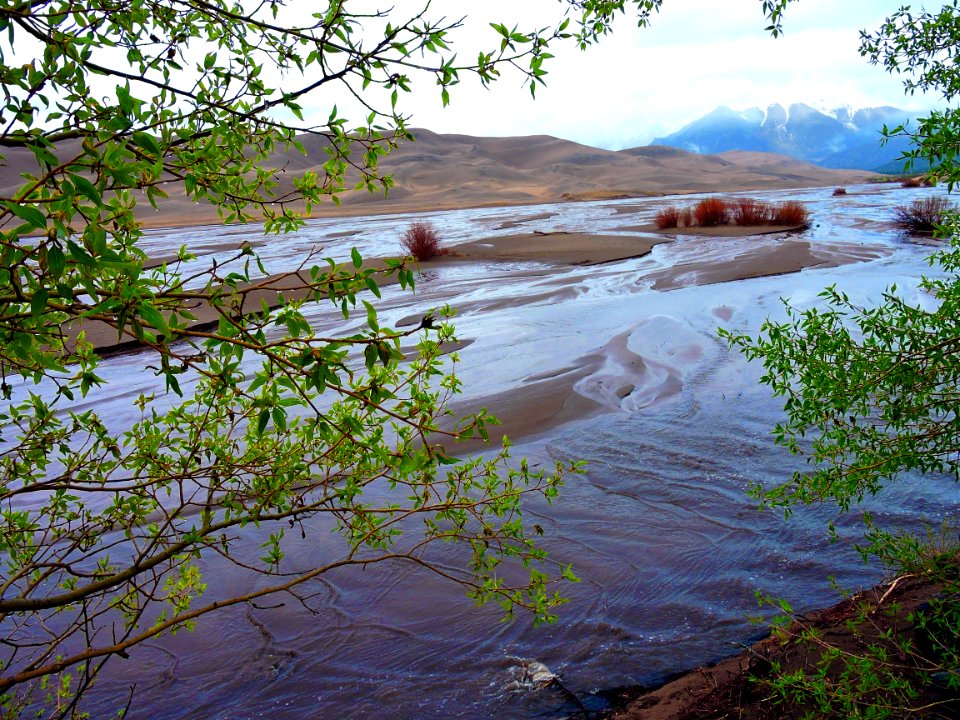Medano Creek and Cottonwood Trees in the Rain (34441348552)