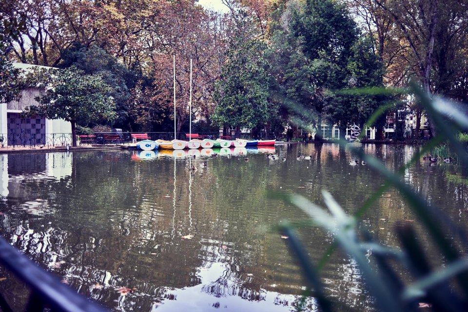 Melancholy 01 (51609616257)