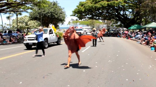 Merrie Monarch Parade April 22, 2017 (34781459130)