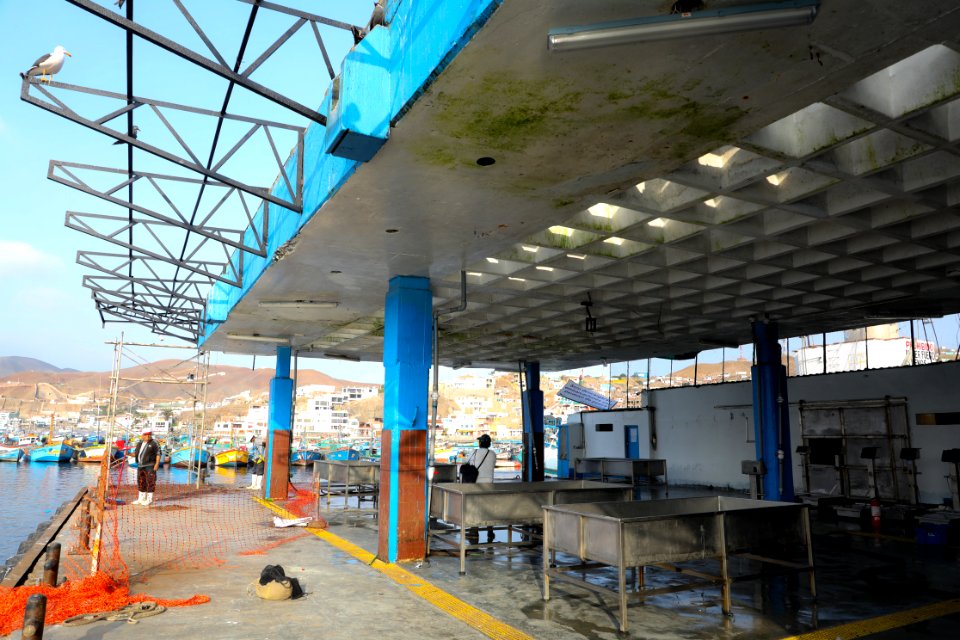 Ministro de la Producción Raúl Pérez-Reyes supervisa DPA Tambo de Mora, DPA Cerro Azul y DPA Pucusana (30623697598)