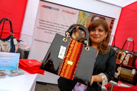 Ministro de la Producción, Raúl Pérez-Reyes presentó la I Feria de Exhibición de Proyectos de Innóvate Perú. (32430131058)