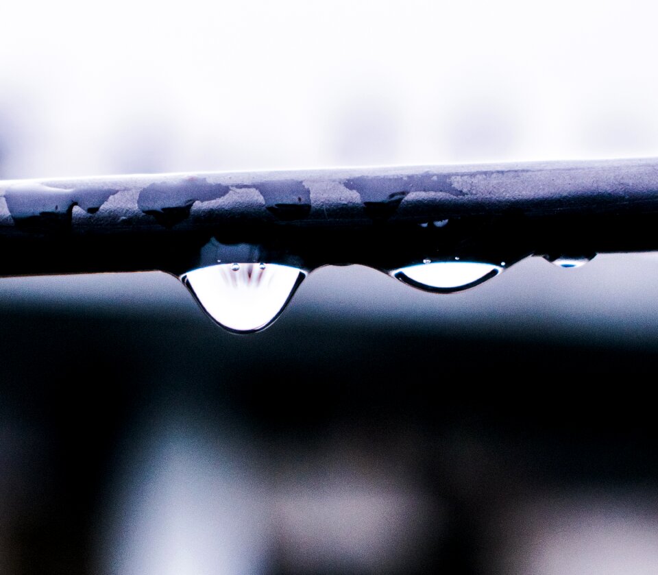 Water drops wet fresh