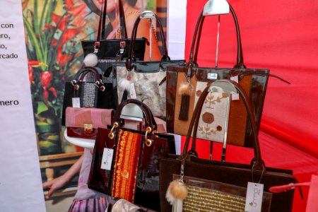 Ministro de la Producción, Raúl Pérez-Reyes presentó la I Feria de Exhibición de Proyectos de Innóvate Perú. (46302127681)