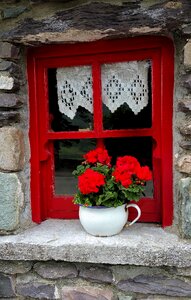 Window planter pot photo