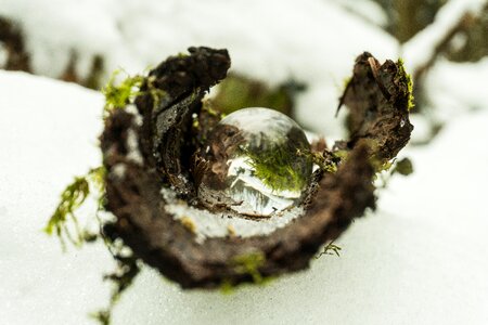 Cold wood background