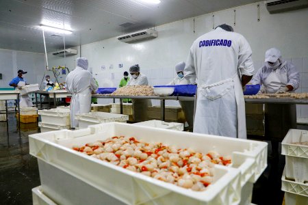Ministro Pérez-Reyes sector acuícola se recuperará el 2018 y crecerá alrededor de 12% (29375718488)