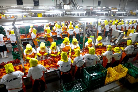 Ministro Pérez-Reyes sector acuícola se recuperará el 2018 y crecerá alrededor de 12% (29375770578)