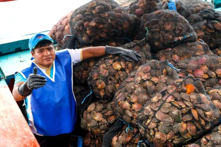 Ministro Pérez-Reyes sector acuícola se recuperará el 2018 y crecerá alrededor de 12% (41436535510)