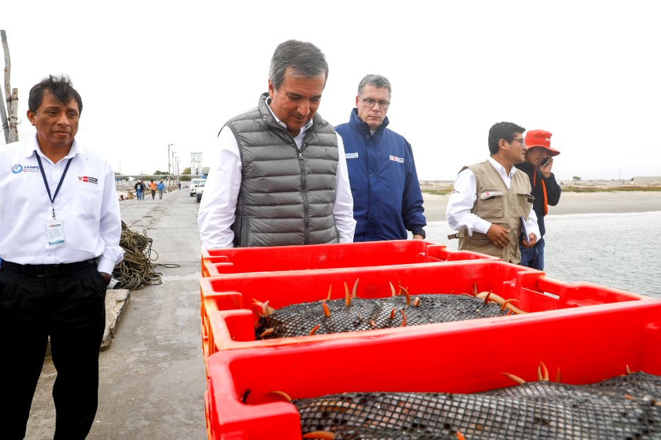 Ministro Pérez-Reyes sector acuícola se recuperará el 2018 y crecerá alrededor de 12% (41436455840)