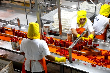 Ministro Pérez-Reyes sector acuícola se recuperará el 2018 y crecerá alrededor de 12% (41436659330)