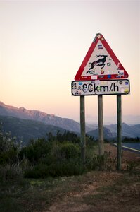 Deer speed limit mountains photo