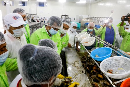 Ministro Pérez-Reyes sector acuícola se recuperará el 2018 y crecerá alrededor de 12% (41436574610)