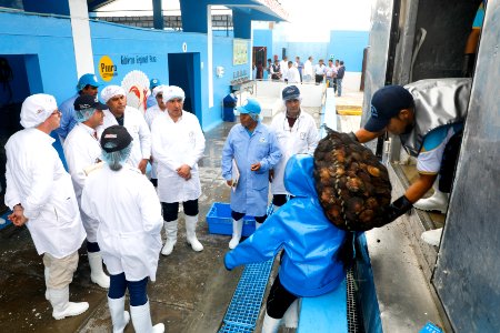 Ministro Pérez-Reyes sector acuícola se recuperará el 2018 y crecerá alrededor de 12% (42342142915)