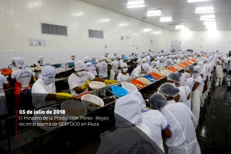 Ministro Pérez-Reyes sector acuícola se recuperará el 2018 y crecerá alrededor de 12% (42342206185)