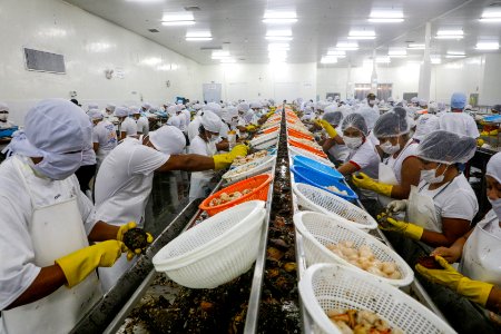 Ministro Pérez-Reyes sector acuícola se recuperará el 2018 y crecerá alrededor de 12% (42527833604)