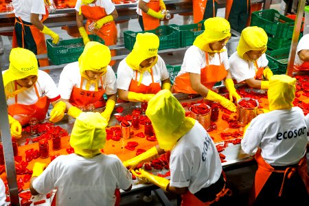 Ministro Pérez-Reyes sector acuícola se recuperará el 2018 y crecerá alrededor de 12% (29375772988)