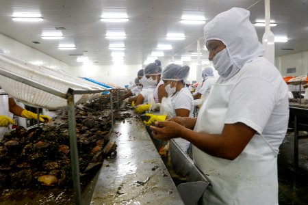 Ministro Pérez-Reyes sector acuícola se recuperará el 2018 y crecerá alrededor de 12% (42527825694)