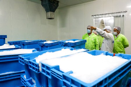 Ministro Pérez-Reyes sector acuícola se recuperará el 2018 y crecerá alrededor de 12% (43197172472)
