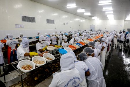 Ministro Pérez-Reyes sector acuícola se recuperará el 2018 y crecerá alrededor de 12% (43197175472)
